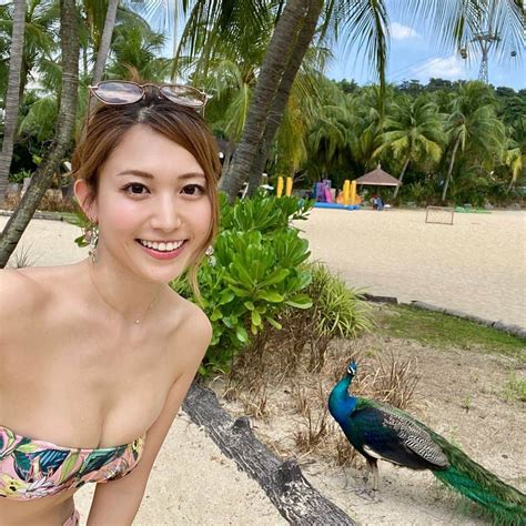 市原彩花さんのインスタグラム写真 市原彩花instagram「💛🦚💛 今年一番リーチされた投稿は、この写真😳🦚 ️ なんとこの投稿を見