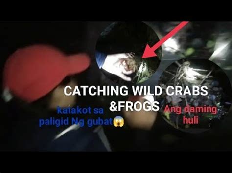 CATCHING WILD CRABS FROGS ANG DAMING HULI Foryou Cathing YouTube