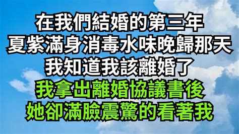 在我們結婚的第三年夏紫滿身消毒水味晚歸那天我知道我該離婚了我拿出離婚協議書後她卻滿臉震驚的看著我小说故事 小说剧情 深夜淺讀 花開富貴 一口气完结 一口气看完系列 情感故事