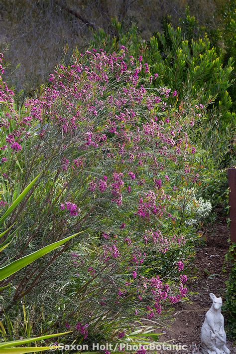 Holt Tif Photobotanic Stock Photography Garden Library