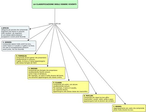 La Classificazione Dei Viventi Categorie Sistematiche Contetto Di