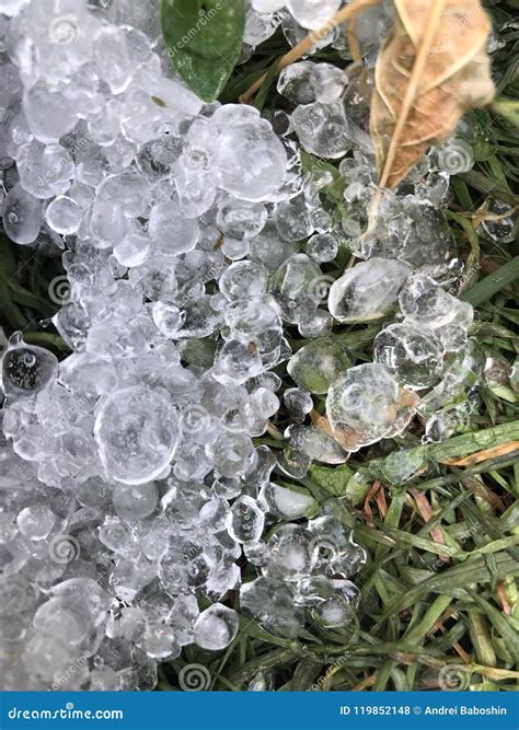 Hailstones in green grass stock photo. Image of clear - 119852148