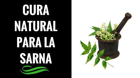 🛑remedio Casero Para La Sarna Canina ⏩ Descubre [ 1 ] Fórmula Natural Para Curar La Sarna En