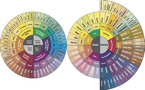 coffee flavor wheel poster - Causing Great Emotional Stimulation Online Journal Custom Image Library