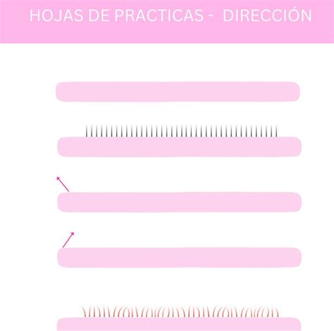 Hojas De Practicas Direcci N De Extensiones De Pesta As Pesta As