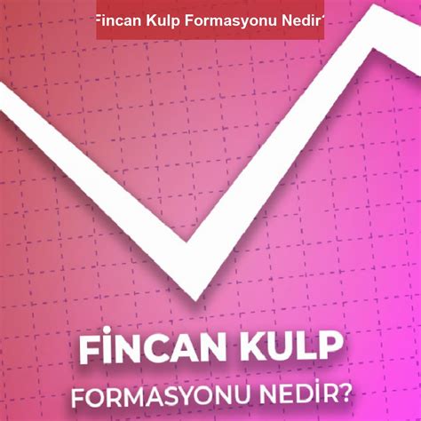 Fincan Kulp Formasyonu Nedir