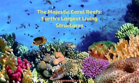 The Majestic Coral Reefs Earth S Largest Living Structures