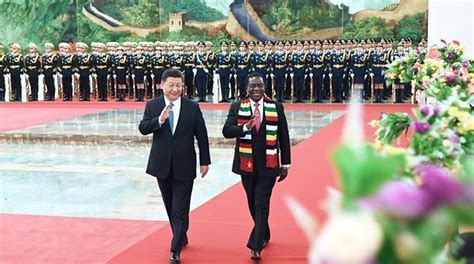 Zim China Establish Strategic Partnership The Manicapost