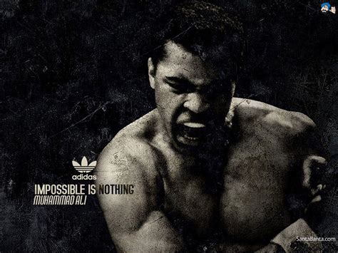 Boxing 4k Wallpapers Top Free Boxing 4k Backgrounds Wallpaperaccess