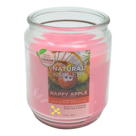 Deodorizer Candle - 4.5in - Everything 420