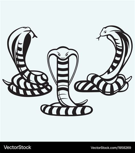 Silhouette a cobra Royalty Free Vector Image - VectorStock