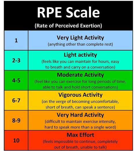 Rpe Vs Rir Part I What Are They — Empower Physiotherapy