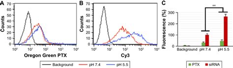 Figure S4 Cellular Uptake Of PEI PLA PTX SiRNA PEG PAsp Nanoparticles