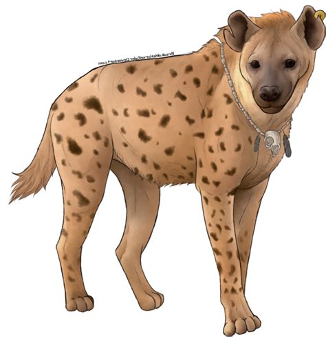 Hyena Png Images Transparent Background Png Play