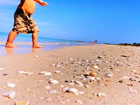 West Coast Florida Beaches