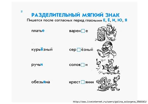 Дружок. Правила по русскому языку и математике для нач. классов ...