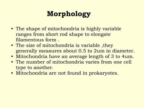 Ppt Mitochondria Powerpoint Presentation Free Download Id 9341041