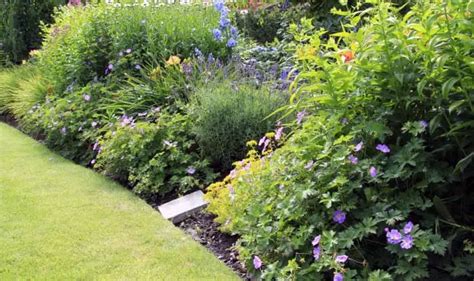 How To Apply Pre-emergent For Flower Beds - GardeningVibe