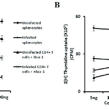 Enhanced T Cell Responses In The Spleen Of Mice Infected With Malaria