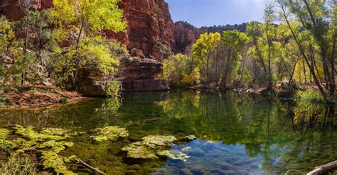 Sycamore Creek | Natural Atlas