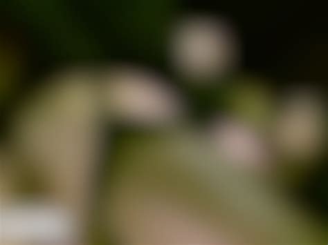 Hard Anal Sex With Gorgeous Jade Laroche Vidéos Porno Gratuites YouPorn