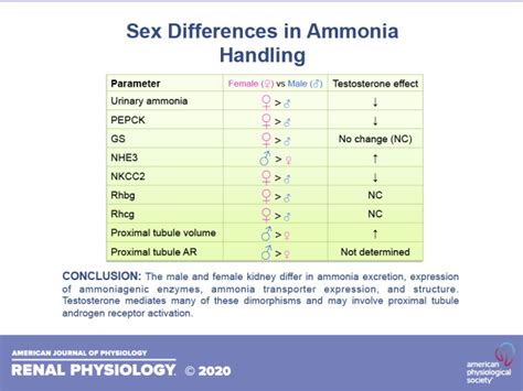 Sex Differences In Renal Ammonia Metabolism Abstract Europe Pmc