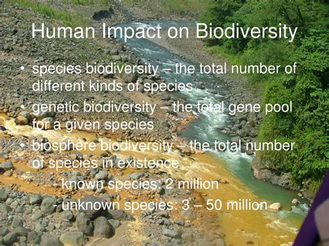 Human Impact On Biodiversity Worksheets