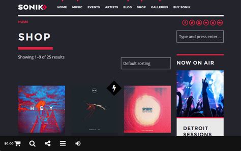 SONIK Theme Review: A Modern Music WordPress Theme - Colorlib