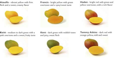 Pin By Hannah Melendez On Food Mango Types Mango Varieties Mango