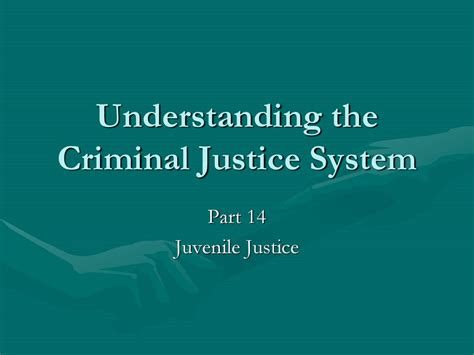 Understanding The Criminal Justice System Ppt Download