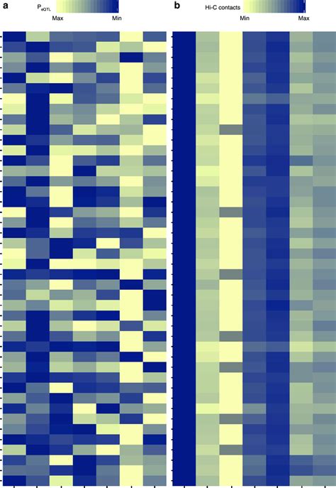 Tissue And Cell Line Specific Effects Of Eqtls A Eqtl Effects Are