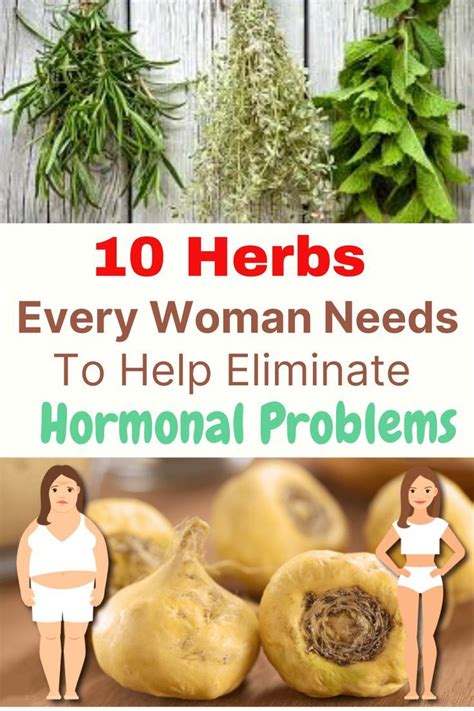 10 Herbs Every Woman Needs To Help Eliminate Hormonal Problems Health And Wellness Herbs