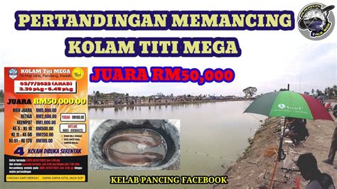 Ikan Keli Kg Juara Rm Pertandingan Memancing Di Kolam Titi