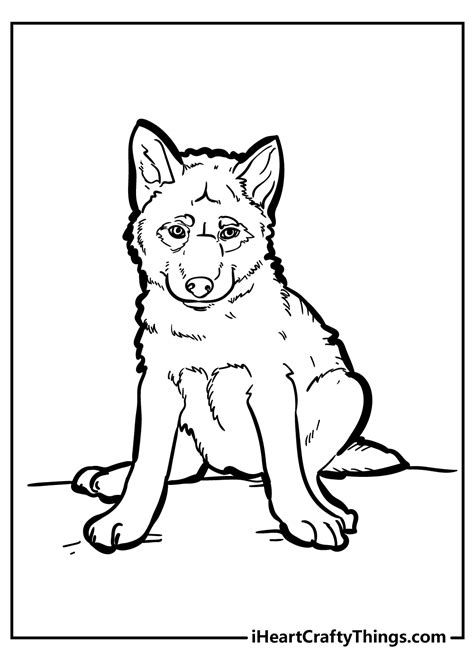 Grey Wolf Pup Coloring Pages