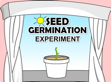 Seed Germination Experiment Pdf