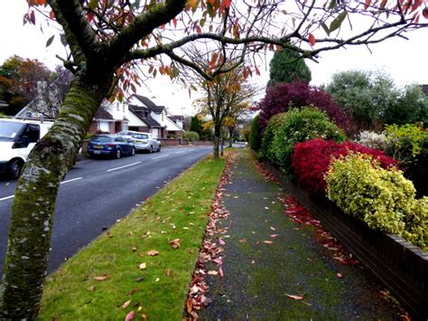 Knockgreenan Drive Omagh Kenneth Allen Cc By Sa Geograph Ireland