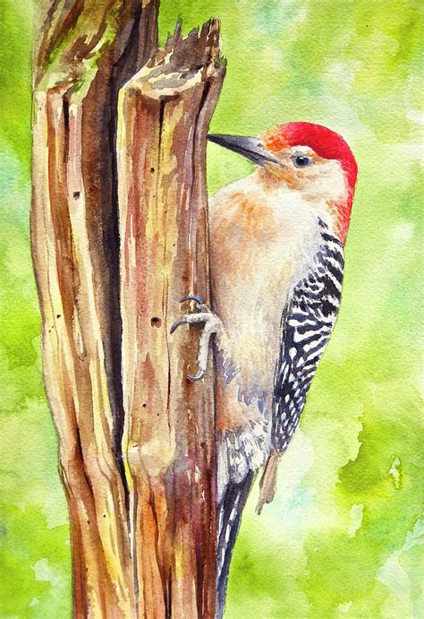 Red Bellied Woodpecker Painting By Lana Privitera Fine Art America