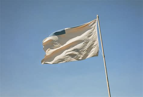 Beige Flags Despite What Tiktok Tells You You Don T Want To Raise Them