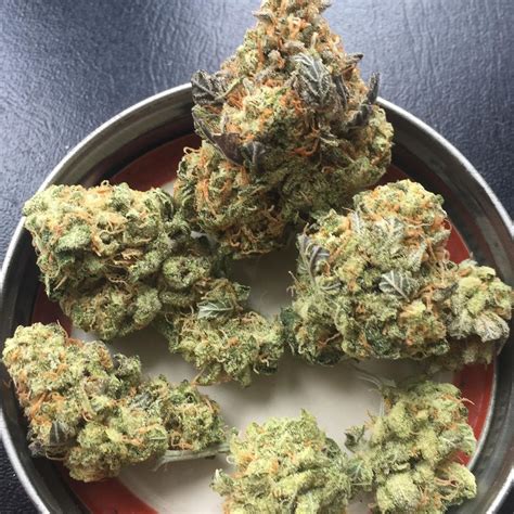 Strain Review Lilac Cookies BX2 By Ethos Genetics The Highest Critic