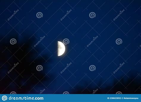 Primer Cuarto De La Luna Al Atardecer Foto De Archivo Imagen De