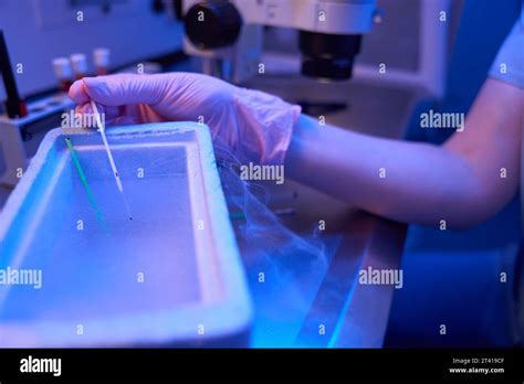 Lab researcher freezing cells in cryogenic freezer box Stock Photo - Alamy