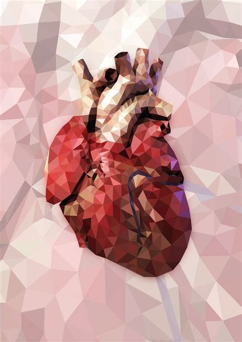 Heart Anatomy Wallpapers - Wallpaper Cave