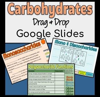 Carbohydrates Drag And Drop Google Slides By Hey Now Science Tpt