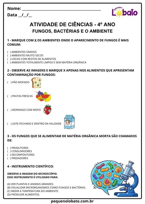 Exercicios Ciencias 4 Ano Decomposição E Os Microrganismos - Atividades de Ciências 4º Ano – Fungos e Bactérias no Processo de ...