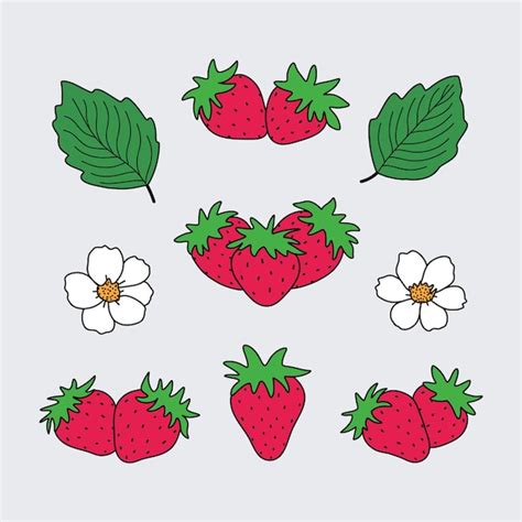 Un Conjunto De Fresas Con Hojas Y Flores Vector Premium