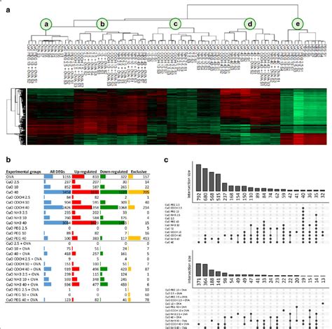 Differential Gene Expression Analysis A Heat Map Of Top