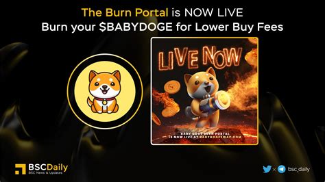 BSCDaily On Twitter The BURN PORTAL Is NOW LIVE Burn Your