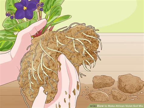 Easy Ways To Make African Violet Soil Mix Steps