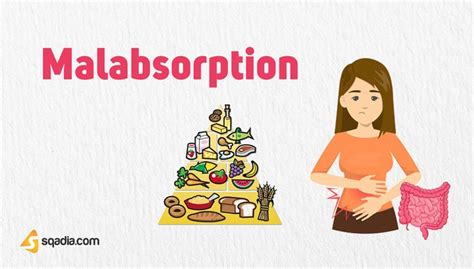 Malabsorption - Pathophysiology