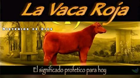 El Misterio De La Vaca Roja Youtube